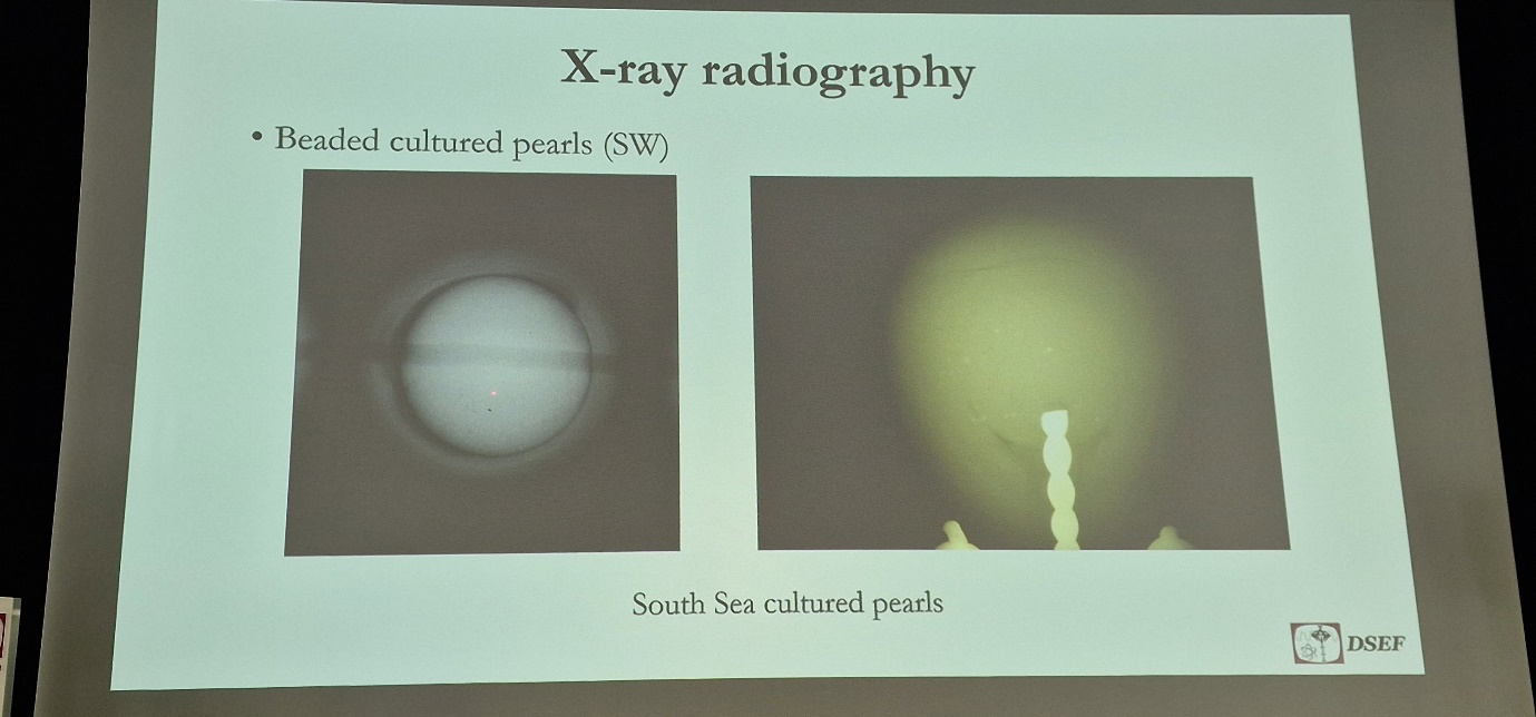 ALGT Attends Pearl Conference in Idar-Oberstein to Follow the Latest Advances in Pearl Identification